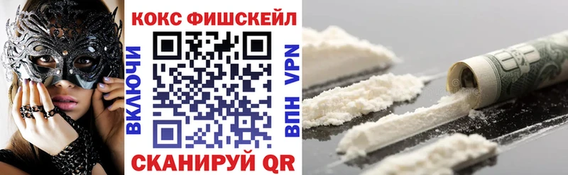 Купить закладки  Гдов  Cocaine Fish Scale 