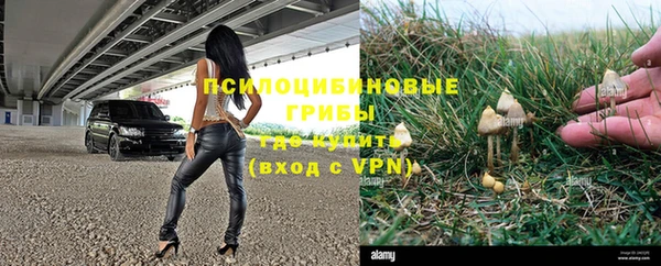 спиды Зеленодольск