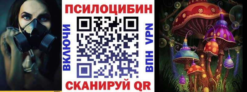 Купить закладки  Гдов  Галлюциногенные грибы прущие грибы 