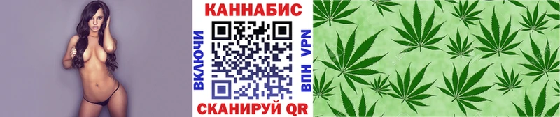 Каннабис ГИДРОПОН  Купить  Гдов 